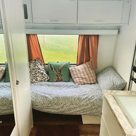 Hotel Cosy Caravan At Carrigeen Glamping à Kilkenny Extérieur photo